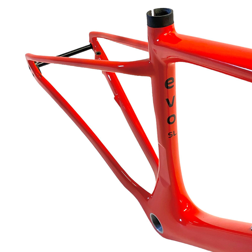 HUP evo SL Carbon Cyclocross Frameset (kids/small adult sizes)
