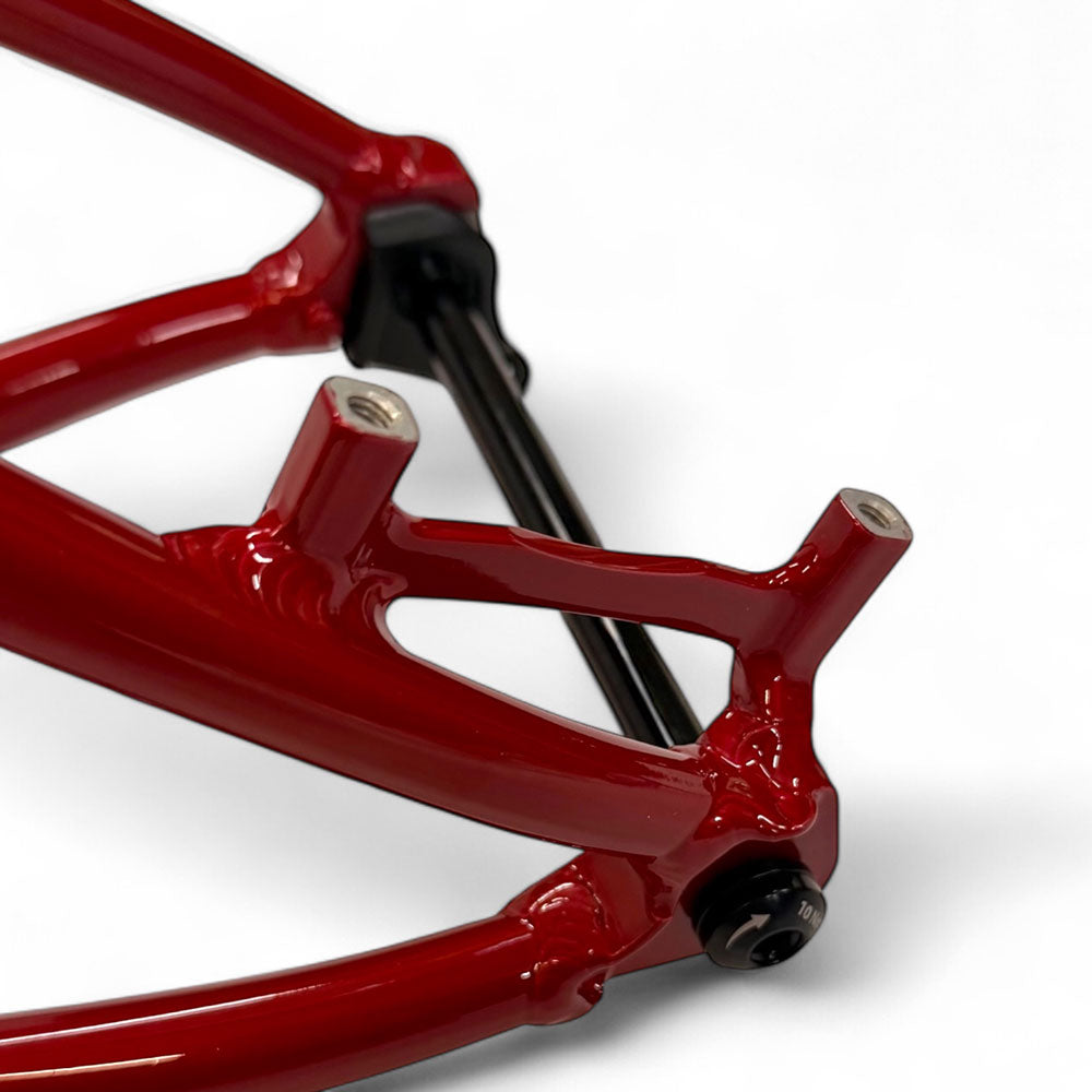 HUP xc MTB frame